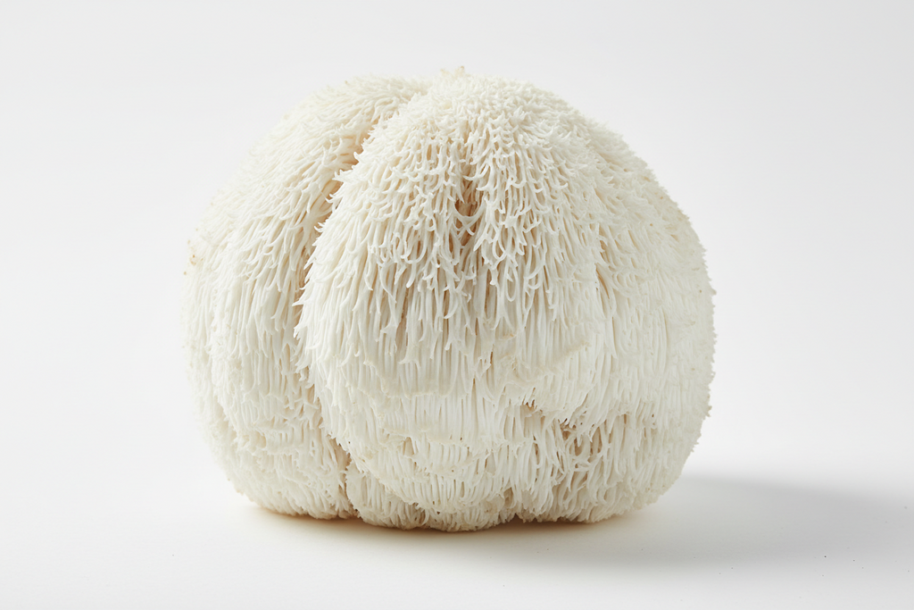 MatchAmore FOCUS - Matcha + collagene + lion's mane